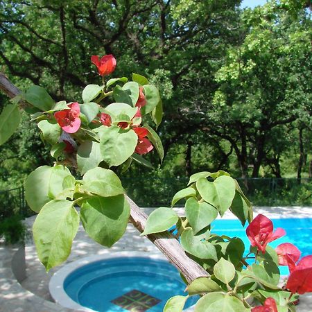 Poolside Apartments Miljan I Ranko Herceg Novi Exterior photo