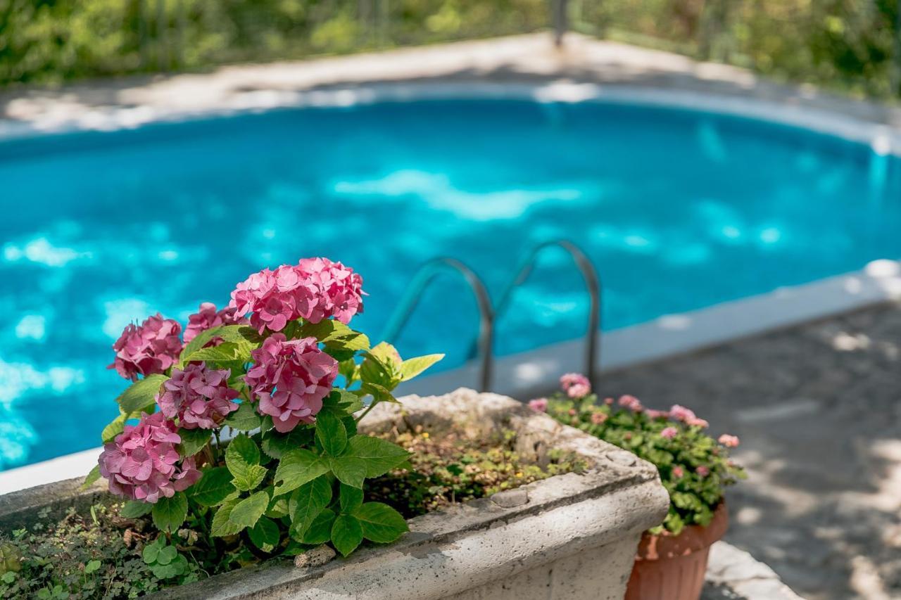 Poolside Apartments Miljan I Ranko Herceg Novi Exterior photo