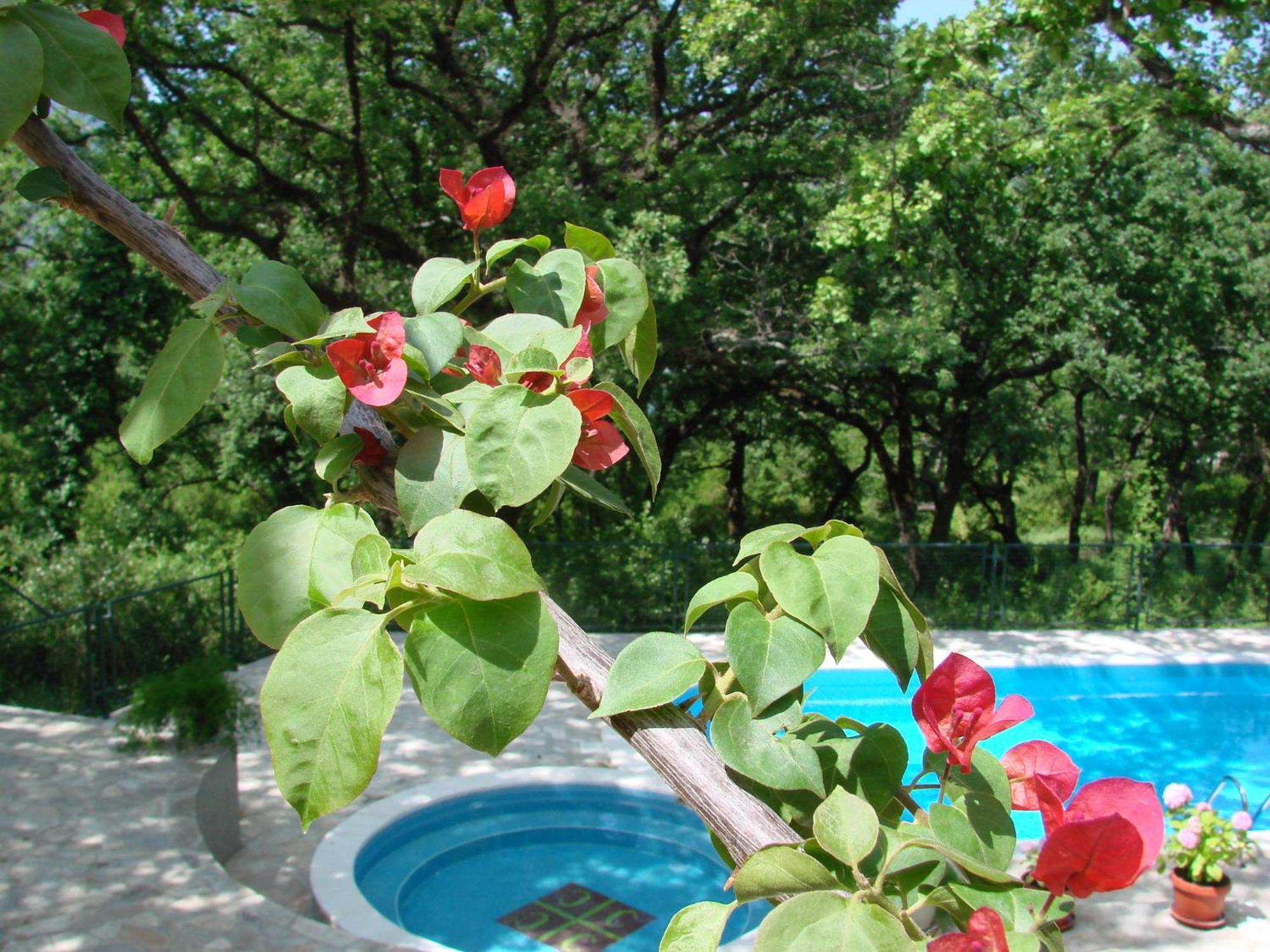Poolside Apartments Miljan I Ranko Herceg Novi Exterior photo