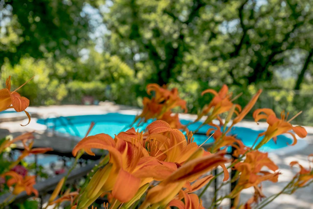 Poolside Apartments Miljan I Ranko Herceg Novi Exterior photo