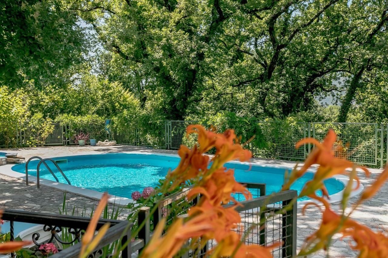 Poolside Apartments Miljan I Ranko Herceg Novi Exterior photo